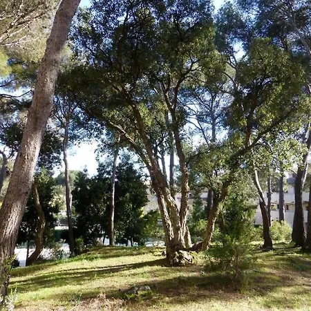 Apartment Hameau Des Pins - - Piscine - Wifi - Clim Saint-Raphael (Var)
